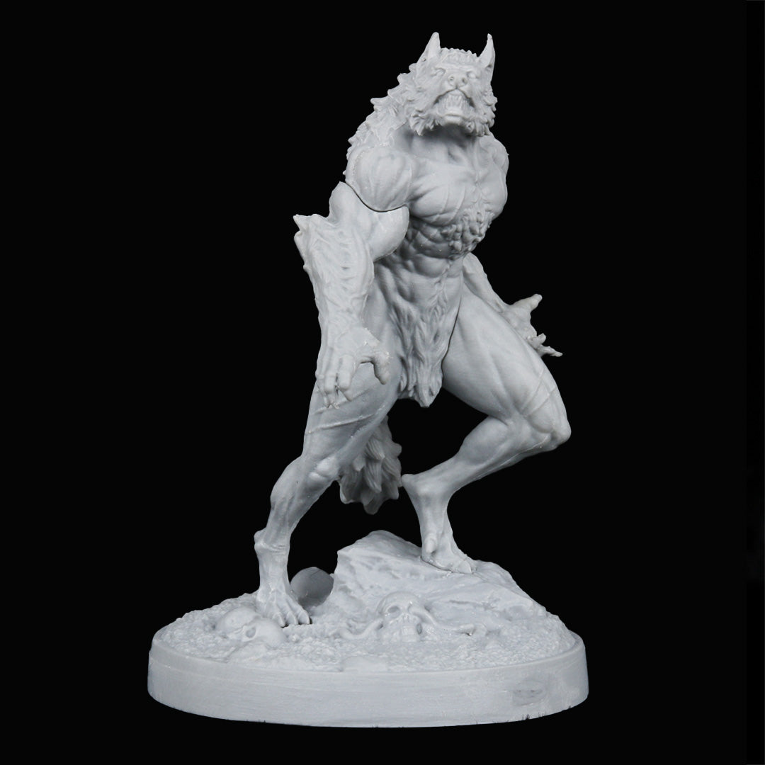 The Wolf and The Pack Set
